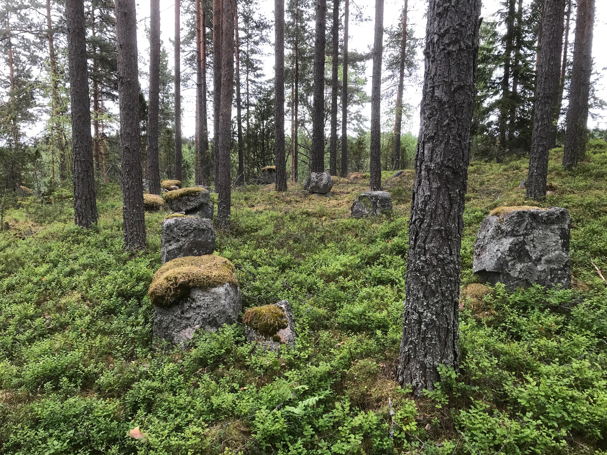 IMG_0460 (1)Kopsuon tanssilavan rauniot